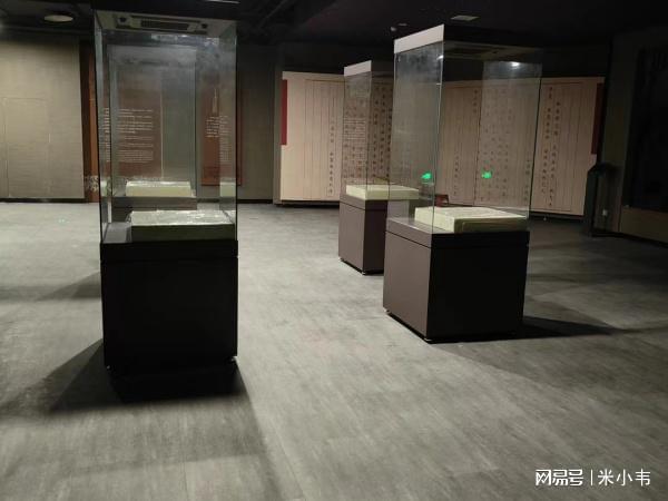 KY开元宁夏博物馆展柜大揭秘：绝美文物背后的高科技保护者！(图4)