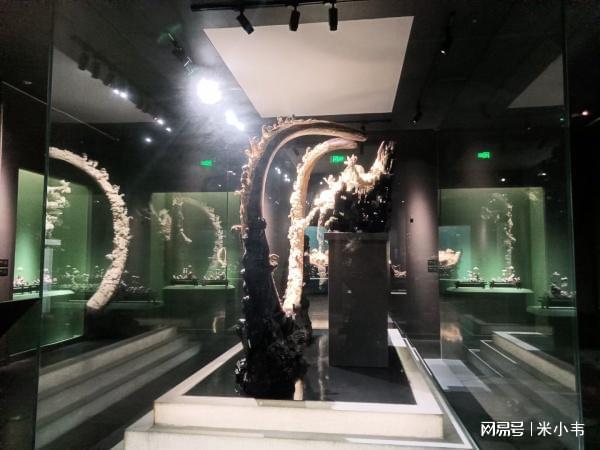 KY开元宁夏博物馆展柜大揭秘：绝美文物背后的高科技保护者！(图5)